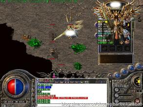 �����¿���Ѫ����