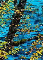 ����û���ں�Ұ������ǰ��ɫ