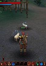 ��ҳ��̬����,������ָ���þ�֮��û�취